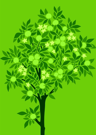 Dónde está el Corazón del Escultismo Forestal?