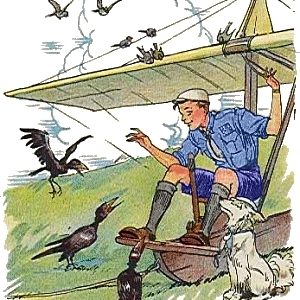 Scouts Aéreos