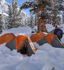 Scouts de Tundra