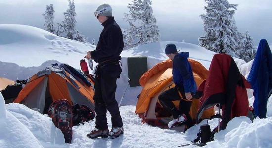 Scouts de Tundra