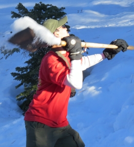 Scouts de Tundra