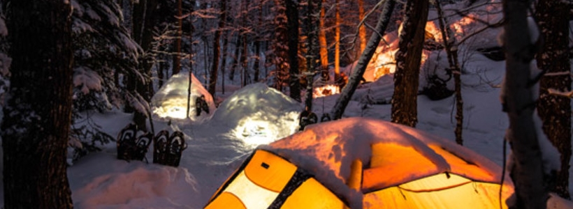 Scouts de Tundra