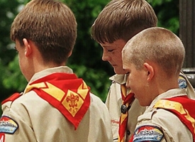 Scouts Terrestres