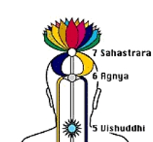 El Chakra Sahasrara como cáliz que contiene la Esencia Divina